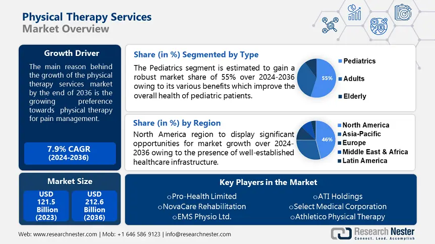 Physical Therapy Services Market overview